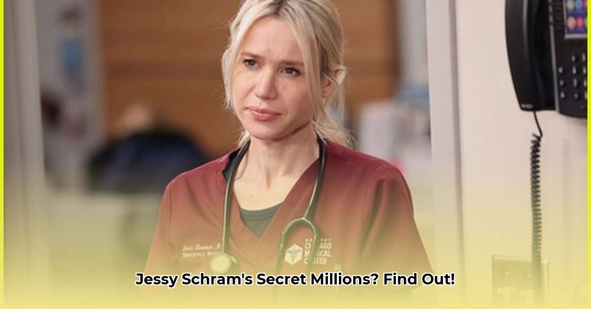 jessy-schram-net-worth
